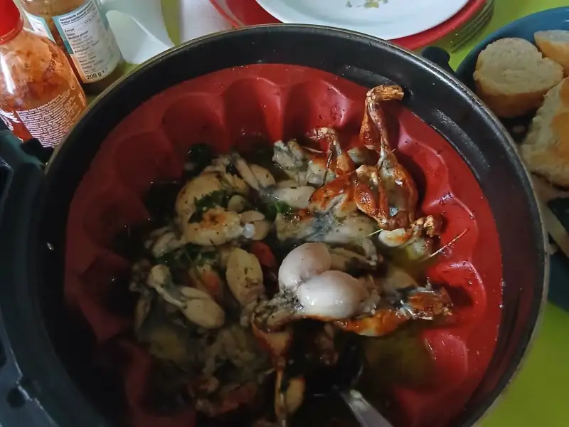 Coxas de rã temperadas com alho e salsinha, assadas no molde de silicone vermelho do air fryer, servidas com pão.